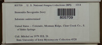 Image Associated With the Occurence